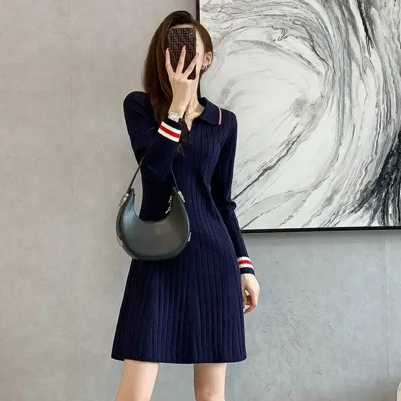 Autumn Winter Polo Collar Tweed Style Long Sleeve Knit Dress Slimming Casual Innerwear Sweater Skirt For Women