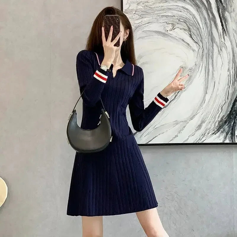 Autumn Winter Polo Collar Tweed Style Long Sleeve Knit Dress Slimming Casual Innerwear Sweater Skirt For Women